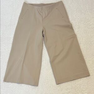 CHICO’S Beige Wide-Leg Trousers 16p Slimmimg Thick Fabric The Perfect Work Pants